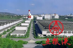 《五糧液: